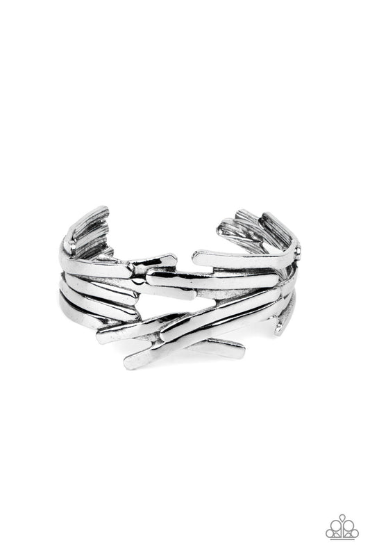 Stockpiled Style Silver